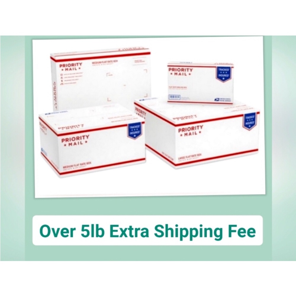 Skull butterfly set of 4 coco + Lola bone China plates 10.5 in nwt Halloween - Picture 4 of 4